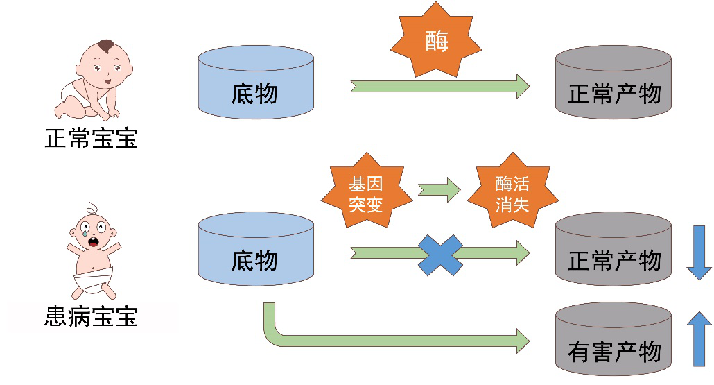 高危代谢病新生儿酶学筛查